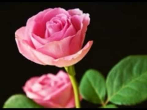 Bollywood Superhit Songs of 1988 (HQ) बॉलीवुड