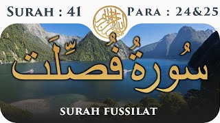 41 Surah Al Fussilat  | Para 24 & 25 | Visual Quran With Urdu Translation