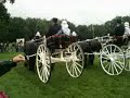 Видео 25 ans du studbook belge du cheval frison