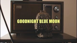 "Hollow" - Goodnight Blue Moon
