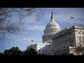 Gorka: The Washington ‘swamp’ will be drained in 2018