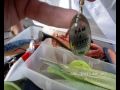 Angeltipps: Welcher Köder für welchen Fisch?