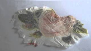 A napkin decoupage on a book page. Tutorial.