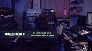 Ambient Night Feat. Vangelis By Luftrum Blade Runner Atmo