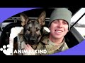 Army dog races into arms of soldier after 3 years apart