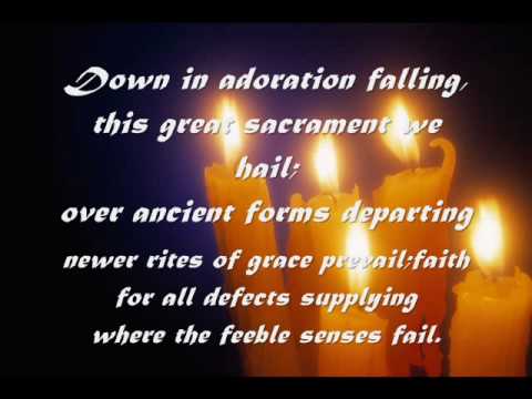 Adoration Video
