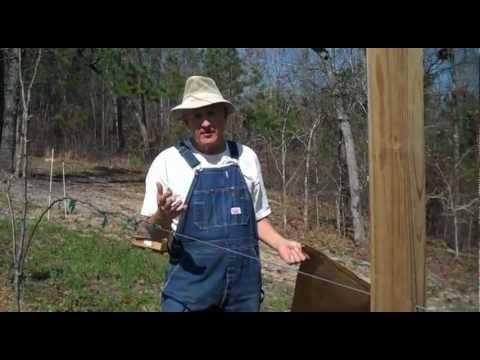 hydroponic strawberries best method