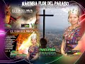 Marimba Flor Del Paraiso vol.5