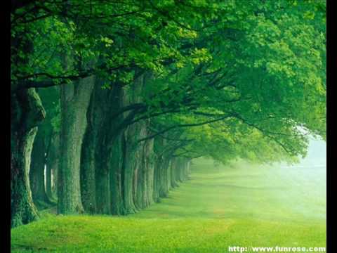 Preminche premava.wmv