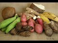 St Vincent & the Grenadines