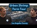 Tour of TransparentSea Farm's urban shrimp farm