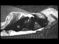 A seven year old cat drinks milk from a nursing bottle in Hollywood,California HD Stock Footage