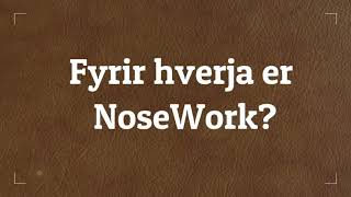 Hvernig lítur NoseWork út og fyrir hverja?