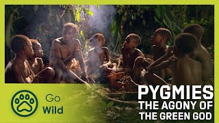 Pygmies The Agony Of The Green God Go Wild