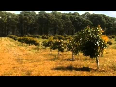 U2 - Beautiful Day U2 - Beautiful Day