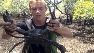 A Heap Of Delicious Brown Mud Crabs - How To Catch And Cook These Fellas?