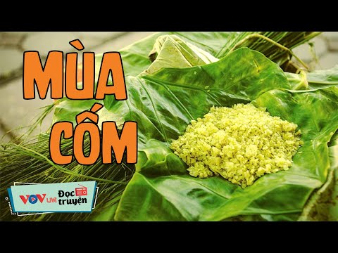 Mùa Cốm | Đọc Truyện Đêm Khuya Đài Tiếng Nói Việt Nam Hay Nhất |Truyện Đêm Khuya Dễ Ngủ Nhất VOV 629