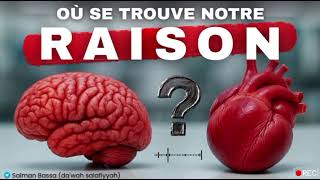 Où Se Trouve Notre Raison ? - Salman Ba