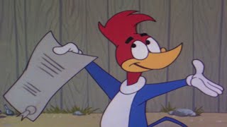 Read The Fine Print 3 Hours Of Clic Episodes Of Woody Woodpecker