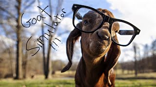 Goat - Goat Simulator