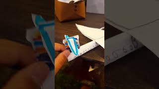 Atr 72 Bra Airlines Paper Model