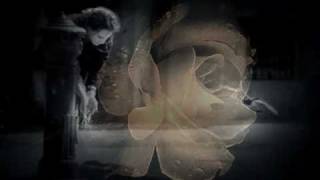Watch Shakin Stevens How Many Tears Can You Hide video