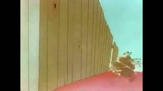 Odorable Kitty New Lonely Tunes Cartoon