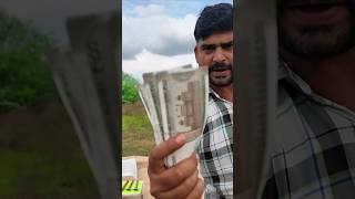 Ice Cube Melt Challenge Winner Will Get 20,000 Rupees