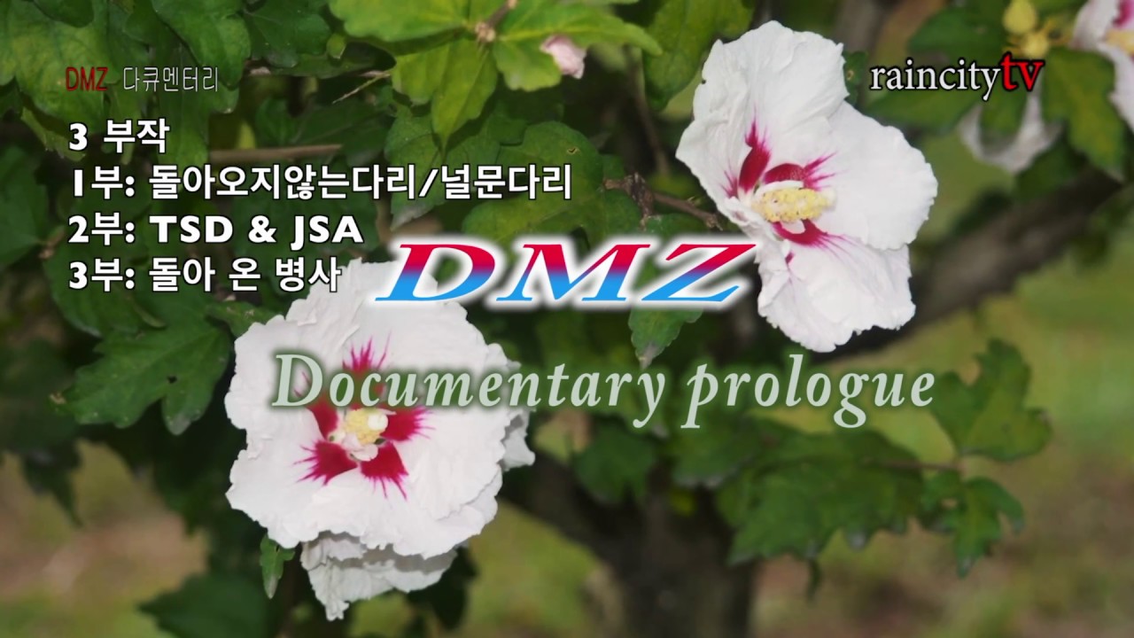 채널1