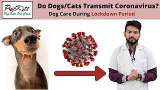 Dog Care During Lockdown Period Due To COVID - 19 ( Coronavirus ) | Dr. Anirudh Mittal