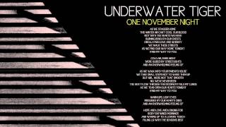 Watch Underwater Tiger One November Night video