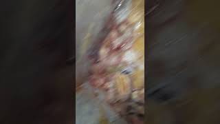Disgusting freezer * rotten meat*