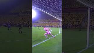 4ycpa6moaqY Video Image
