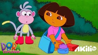 Dora The Explorer How I Met Boots Akili Tv