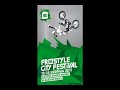 Freestyle City Festival Cieszyn - pokaz FMX 13.08.2011