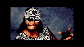 Watch Macho Man Randy Savage Feel The Madness video