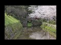 秋月～桜 ( SAKURAドロップス / 宇多田ヒカル)