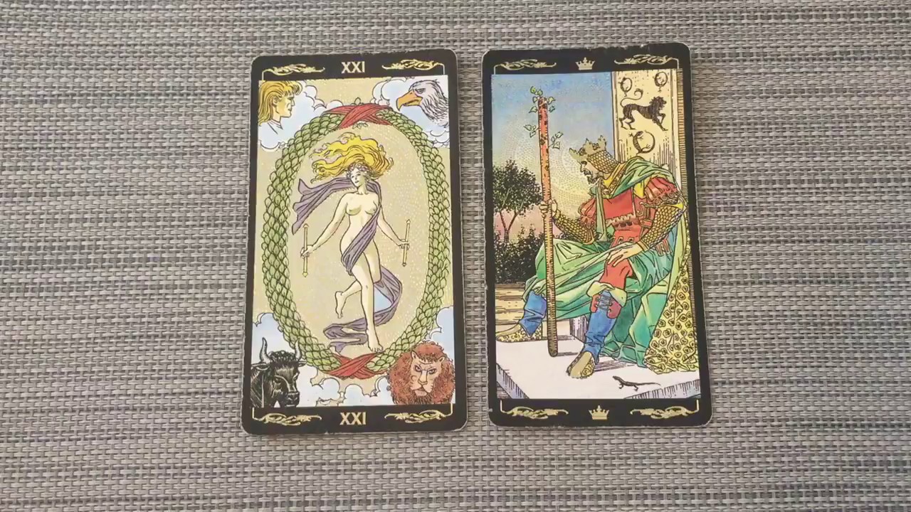 141
