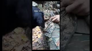 Truffle Stories Ep 5 -The Dig, The Dog, The Pressure
