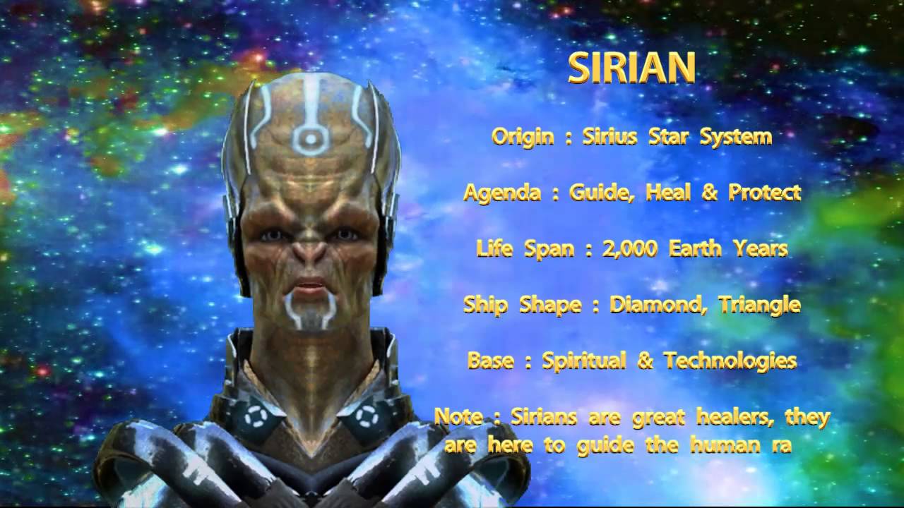 THE STAR RACES  SIRIAN  YouTube