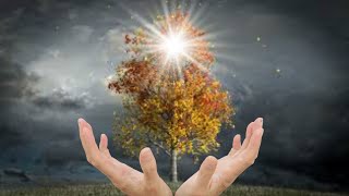 Healing Music To Connect With Deeper Self | Positive Healing Music