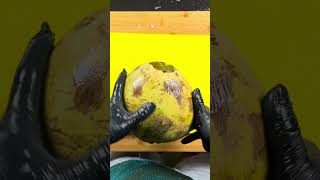 Coconut Cutting Video Tv Cococut Coconut