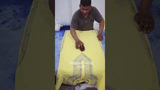 Chikankari Chhapai,