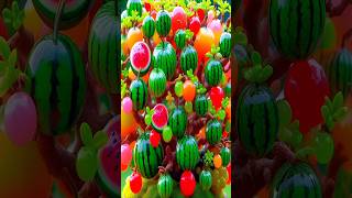 Easy And Fast Techniques For Propagating And Growing Watermelon Trees