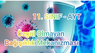 Bağışıklık Sistemi - 1 Özgül Olmayan Bağışıklık Ayt Biyoloji-11.Sınıf Biyoloji