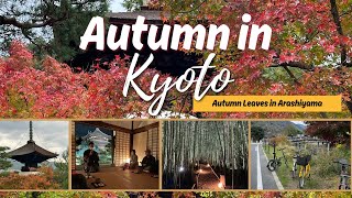Autumn In Kyoto - Arashiyama - Autumn Foliage Episode 1
