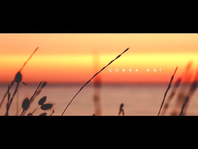 Toutes les vidéos