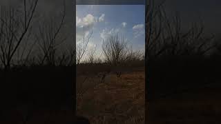 Watch The Moment Officers Find Missing 3-Year-Old Wandering A Field In A Diaper