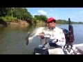 LIBERACION ROBALO NEGRO, RIO GRIJALVA LIBERACION ROBALO NEGRO, RIO GRIJALVA