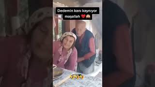 Ci̇lveleşen Dede